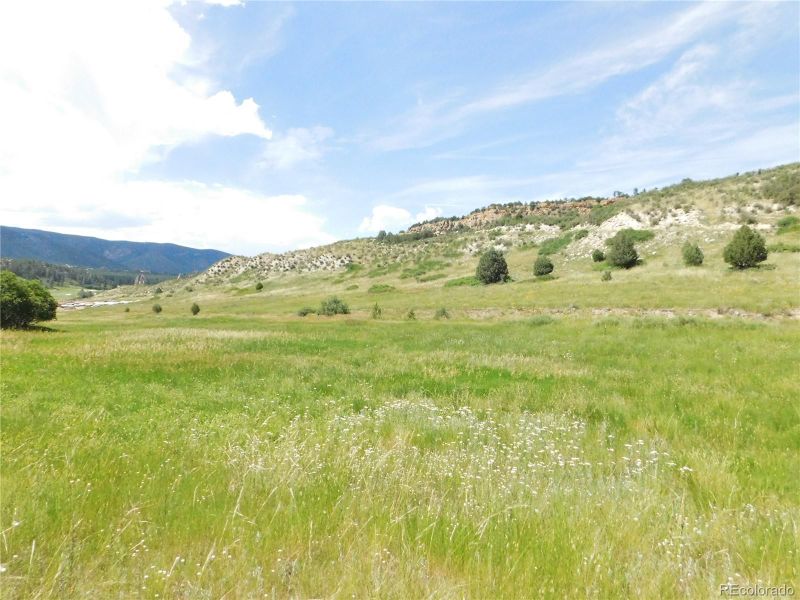 4890 Comanche Dr, Larkspur, CO 80118