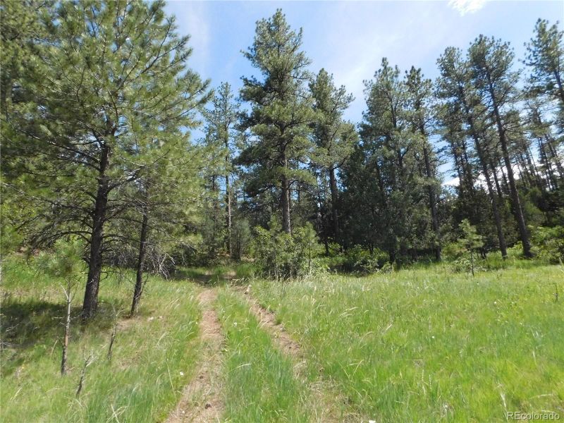 4890 Comanche Dr, Larkspur, CO 80118