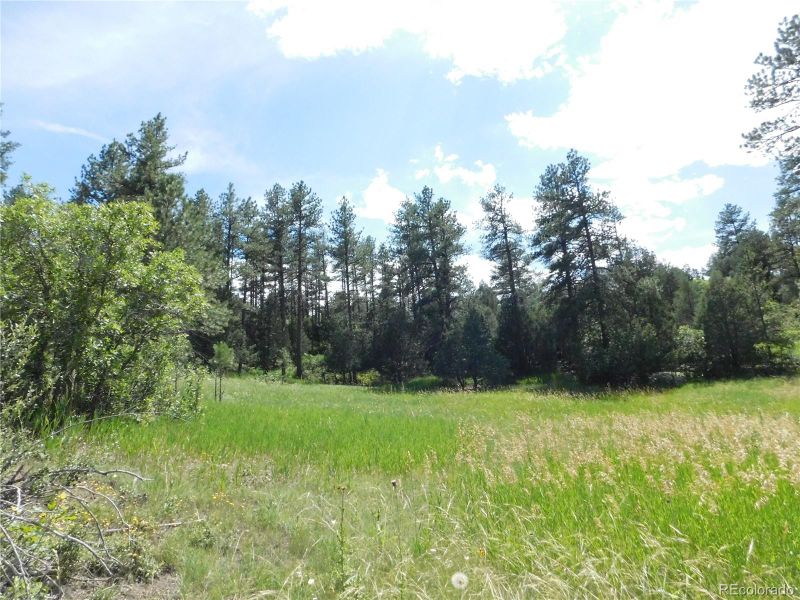 4890 Comanche Dr, Larkspur, CO 80118