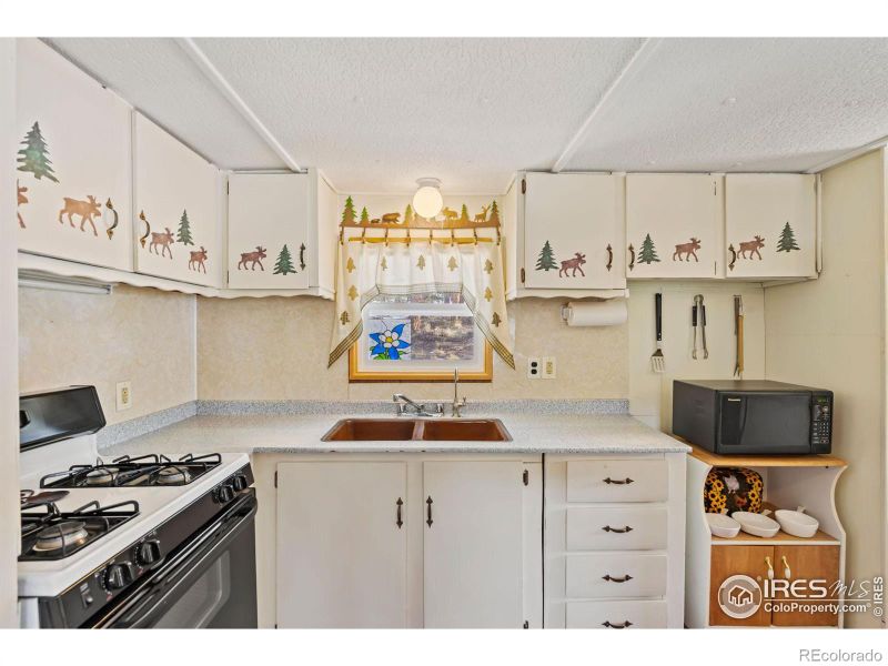 36 Comanche Cir, Red Feather Lakes, CO 80545