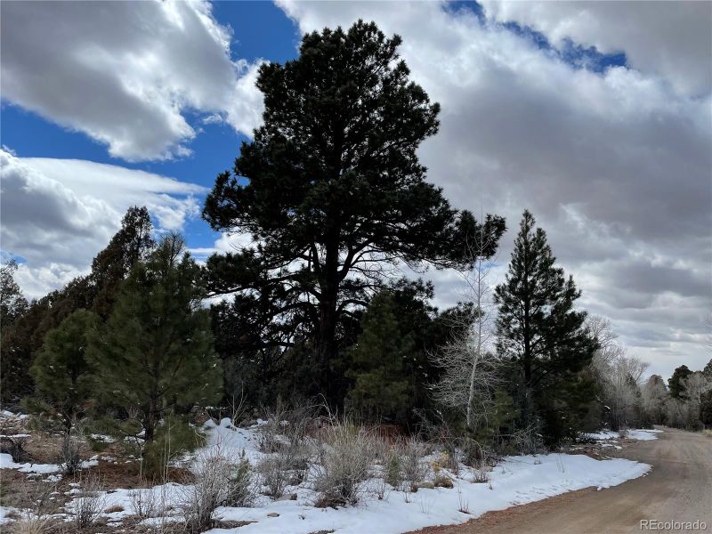 1560 Antelope Way Lot 1560 & 1561, Crestone, CO 81131