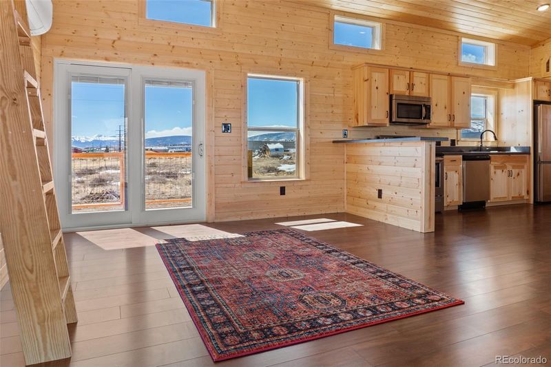 1255 Meadow Dr, Fairplay, CO 80440