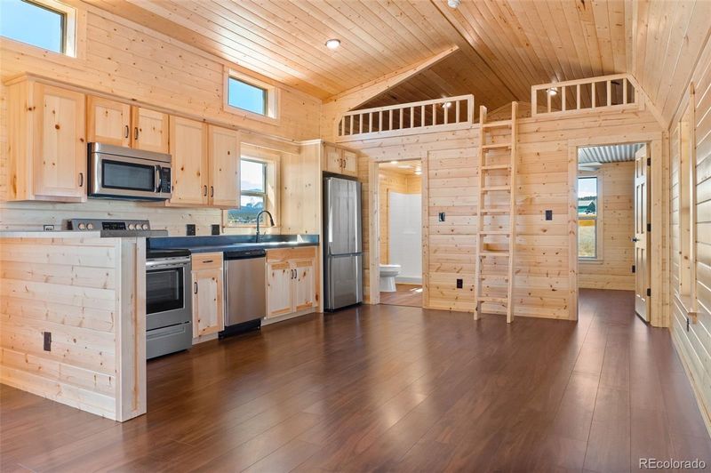 1255 Meadow Dr, Fairplay, CO 80440