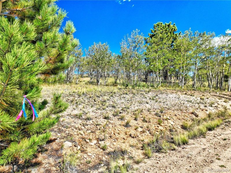 3046 Warrior Cir, Como, CO 80432