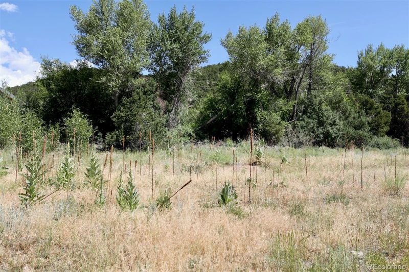 16508 Rocky Mountain Rd, Salida, CO 81201