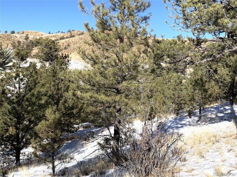 627 Larimer Dr, Hartsel, CO 80449
