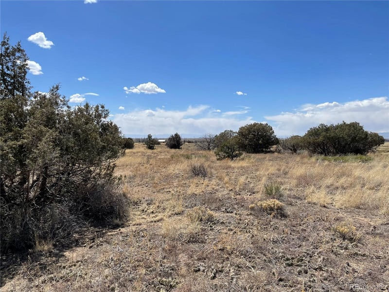 1307 Spanish Creek Rd, Crestone, CO 81131