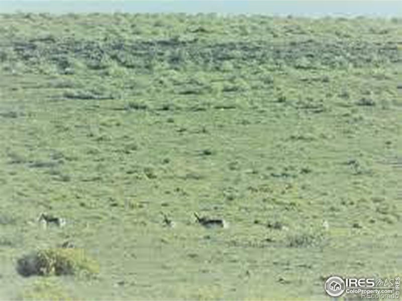 0 Lot 6 County Road 102, Nunn, CO 80648