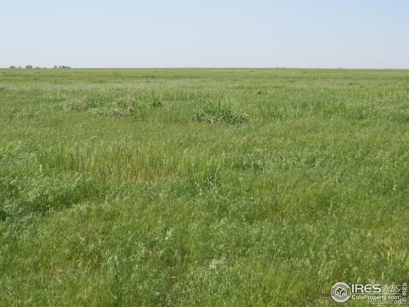 0 Lot 6 County Road 102, Nunn, CO 80648
