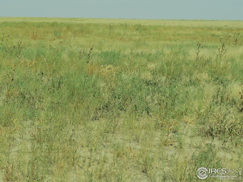 0 Lot 6 County Road 102, Nunn, CO 80648