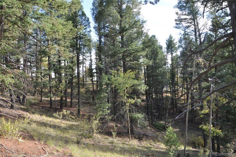 445 Bennett Dr, Cripple Creek, CO 80813