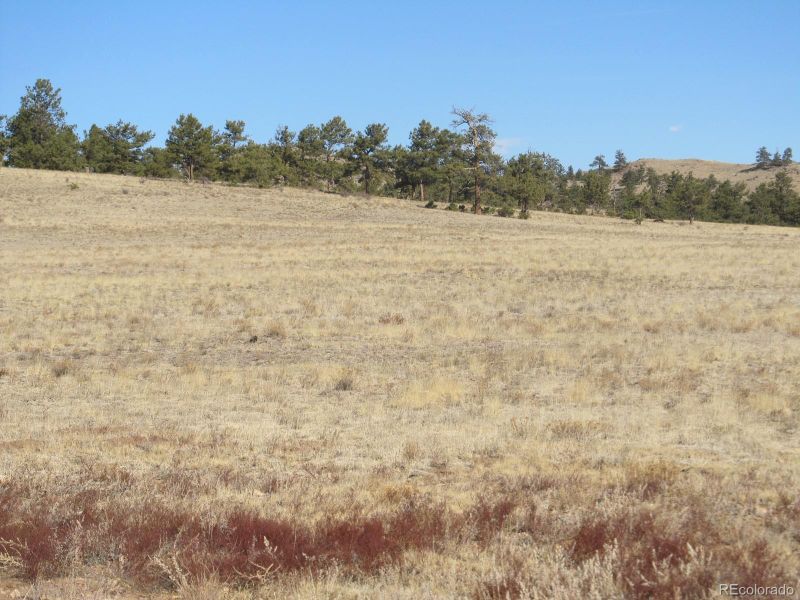 5109 Arikara Trl Lot 5109, Hartsel, CO 80449