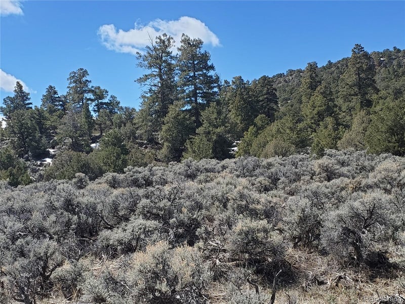 Tract 25 Mule Deer Rd Lot 25, Fort Garland, CO 81152