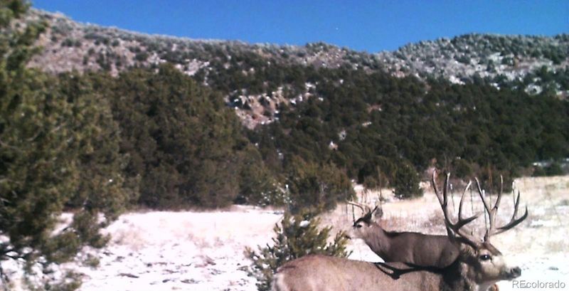 000 Wild Turkey Trl, Canon City, CO 81212