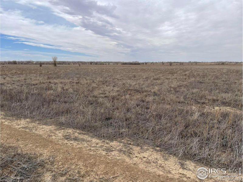 2684 County Lane 7, Olney Springs, CO 81062