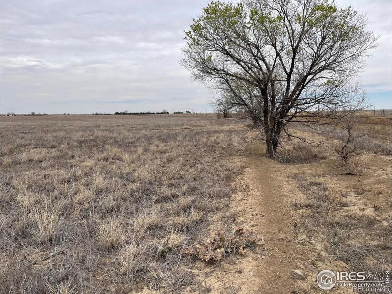 2684 County Lane 7, Olney Springs, CO 81062