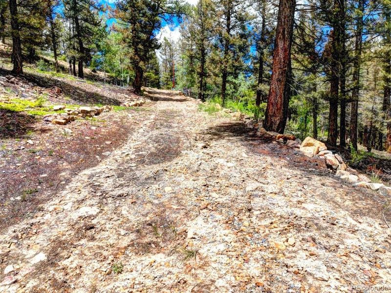 3486 Middle Fork Vi, Fairplay, CO 80440