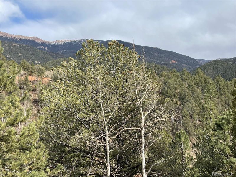 998 Pikes Peak Dr, Divide, CO 80814