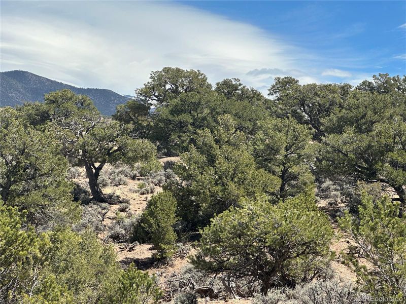 Lot 3478, Fort Garland, CO 81133