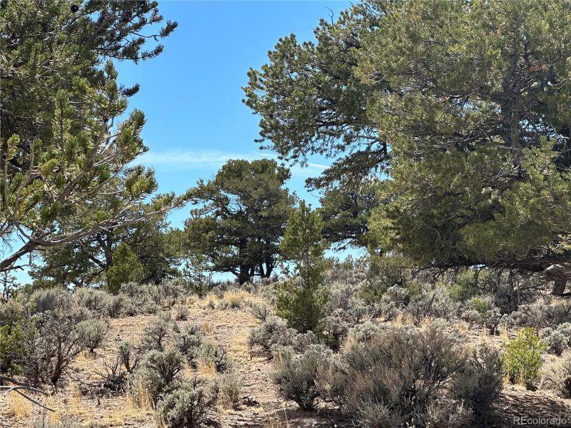 Lot 3478, Fort Garland, CO 81133