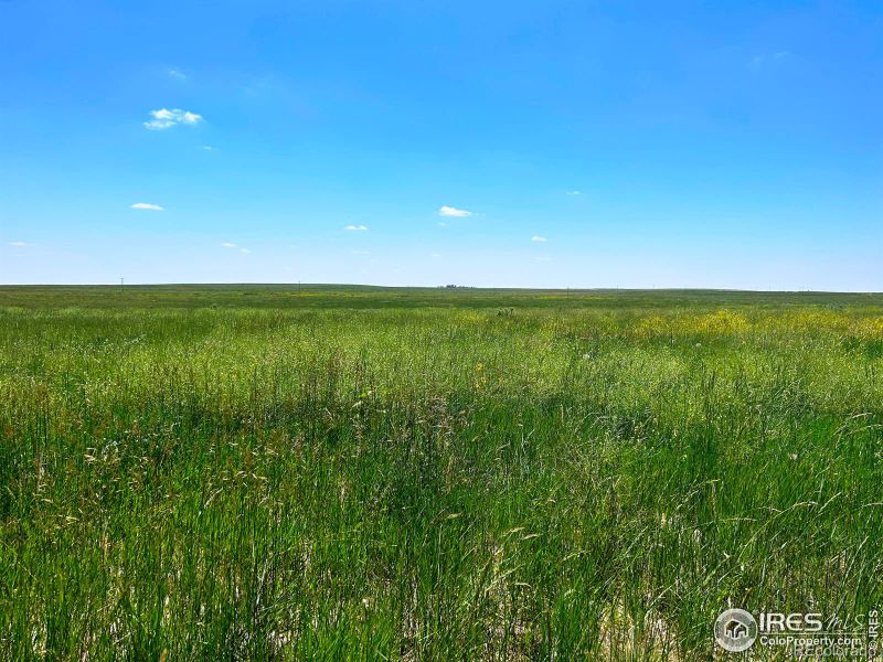 0 Parcel 6 Weld County Road 93, Briggsdale, CO 80611