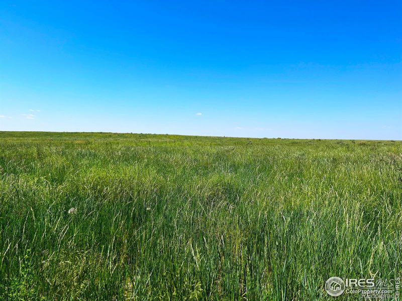 0 Parcel 6 Weld County Road 93, Briggsdale, CO 80611