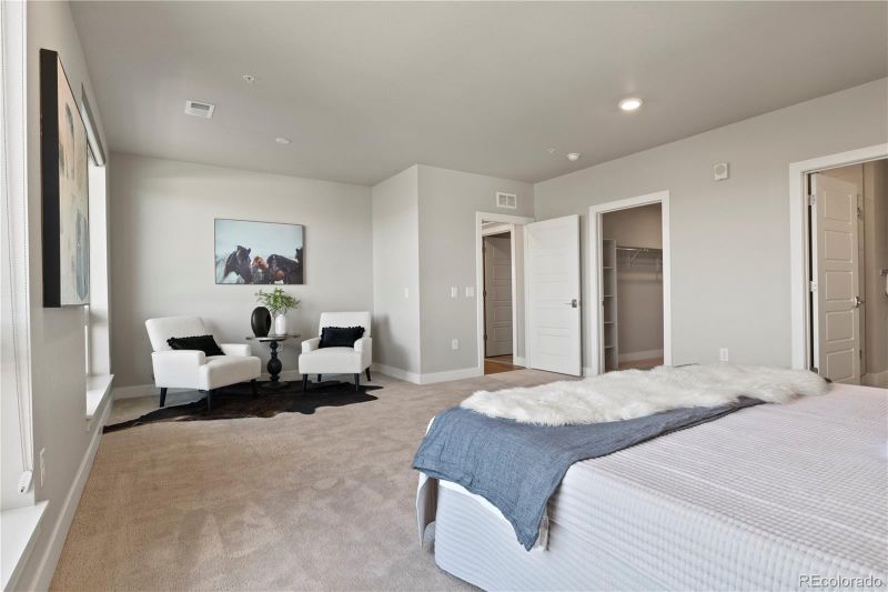 20 S Wilcox St #402, Castle Rock, CO 80104