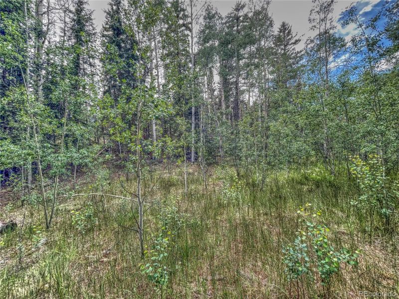 58 Osprey Rd, Como, CO 80432