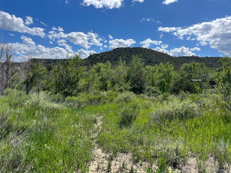 Willow St, Trinidad, CO 81082
