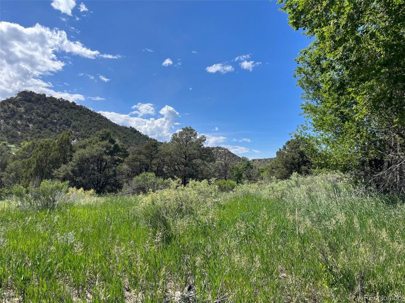 Willow St, Trinidad, CO 81082