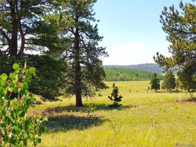 327 Brahma Cir Lot 0921, Hartsel, CO 80449