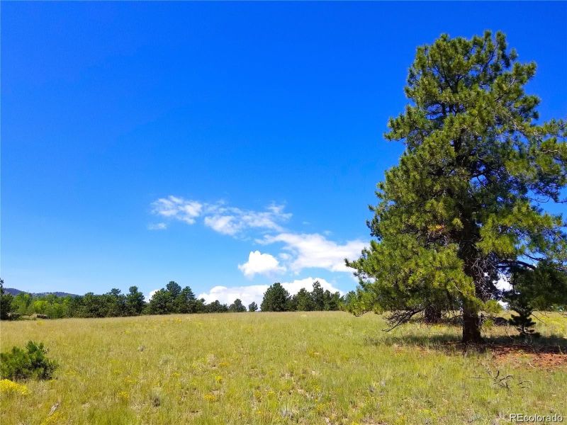 327 Brahma Cir Lot 0921, Hartsel, CO 80449