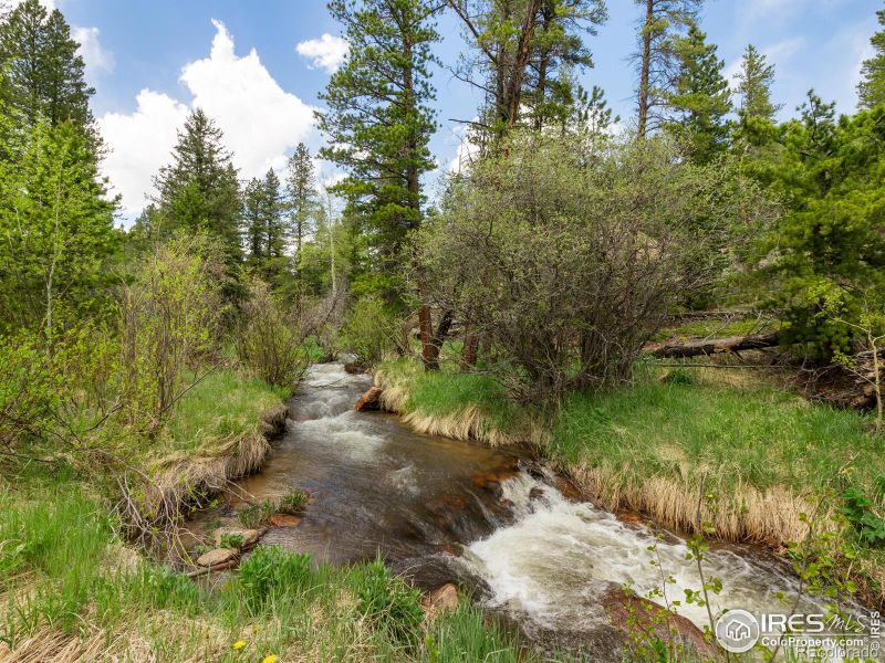 763 Cabin Creek Rd, Allenspark, CO 80510