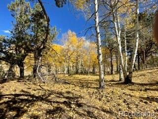 3321 S Muley Gulch Dr, Hartsel, CO 80449