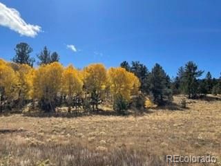 3321 S Muley Gulch Dr, Hartsel, CO 80449
