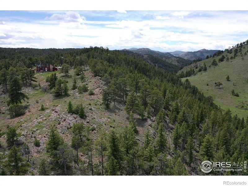 13217 County Road 67j, Livermore, CO 80536