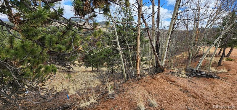 188 Molly Kathleen Dr, Cripple Creek, CO 80813