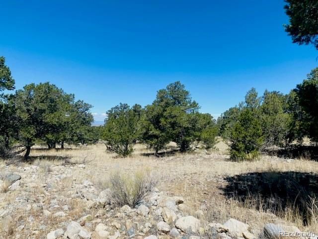 105 Cedar Ridge Rd Lot 5, Mosca, CO 81146