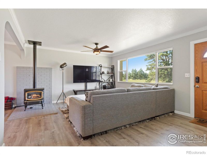 18315 Steeplechase Dr, Peyton, CO 80831