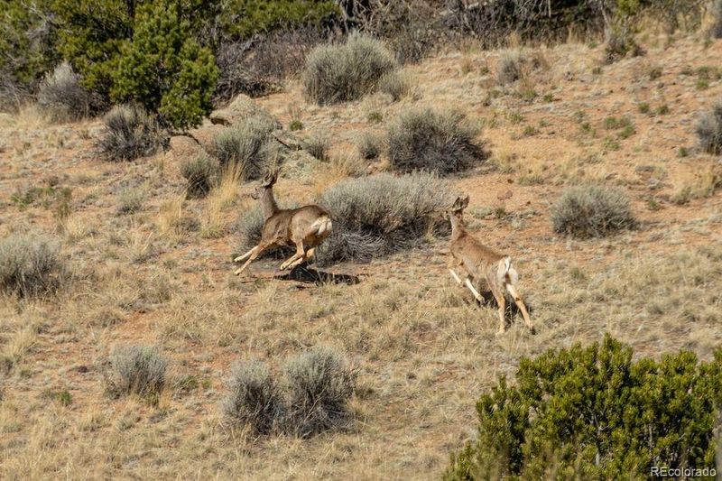 TBD Skyview Ranch Tract 2, Buena Vista, CO 81211