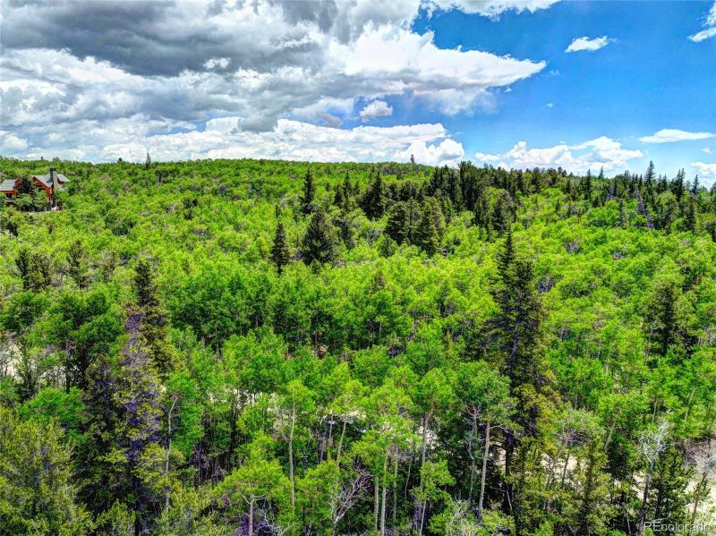 0 Platte River Ct, Fairplay, CO 80440
