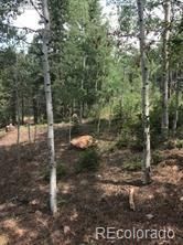 1485 Kings Crown Rd, Woodland Park, CO 80863