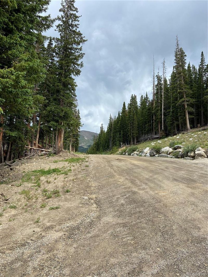 732 Kimmes Ln, Breckenridge, CO 80424