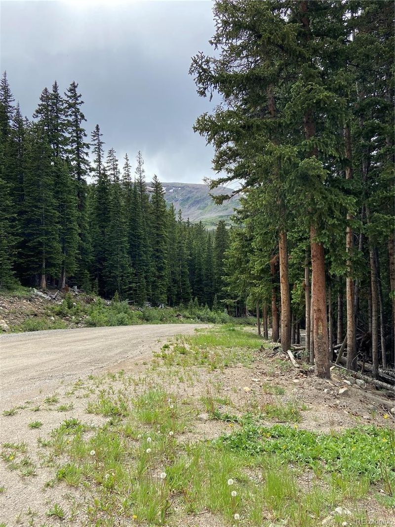 732 Kimmes Ln, Breckenridge, CO 80424