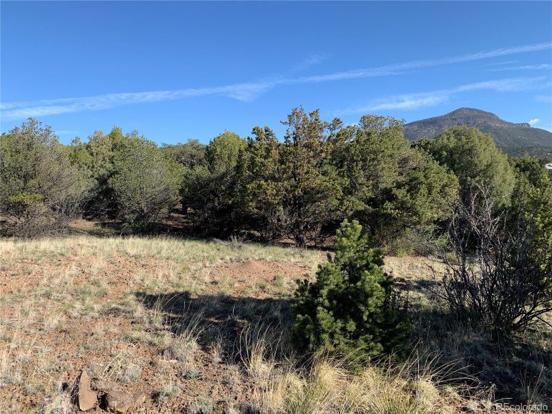 413 Rabbit Ears Rd Lot 9, 10, South Fork, CO 81154