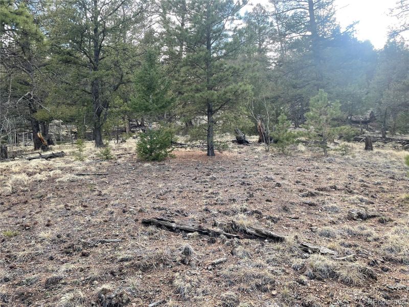 396 La Plata Dr, Hartsel, CO 80449