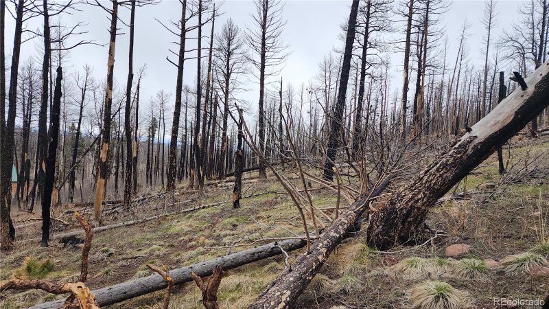 Lot 1735 Mara Loop, Fort Garland, CO 81133