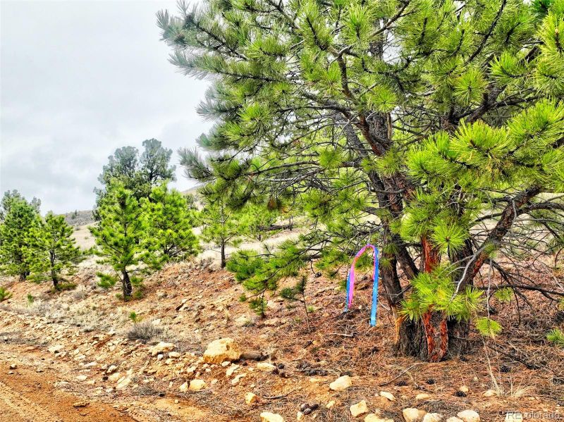0 Cohonina Rd, Hartsel, CO 80449