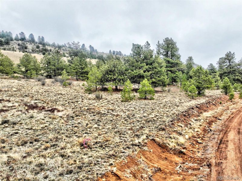 0 Cohonina Rd, Hartsel, CO 80449