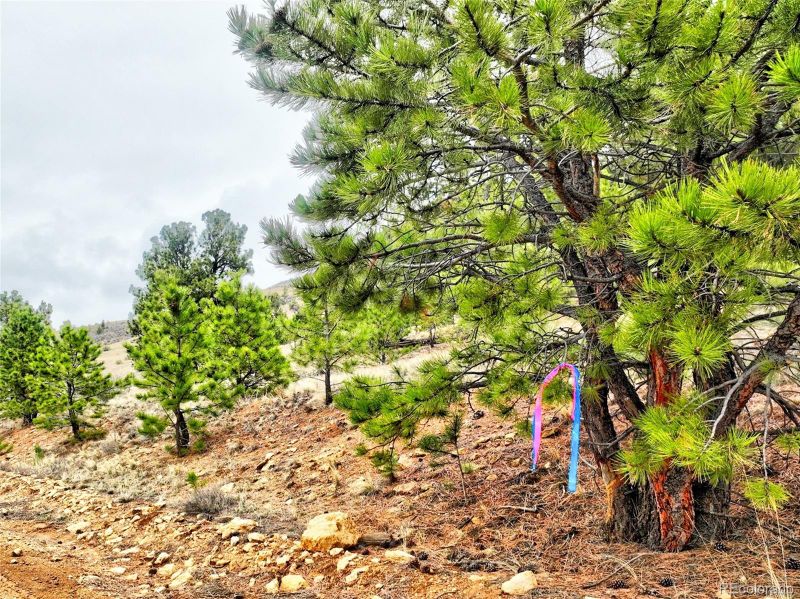 0 Cohonina Rd, Hartsel, CO 80449